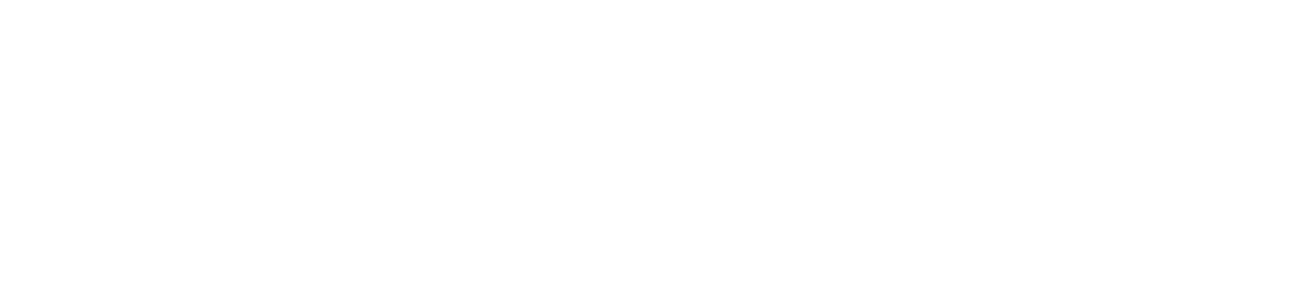 Schwaller Garage SA