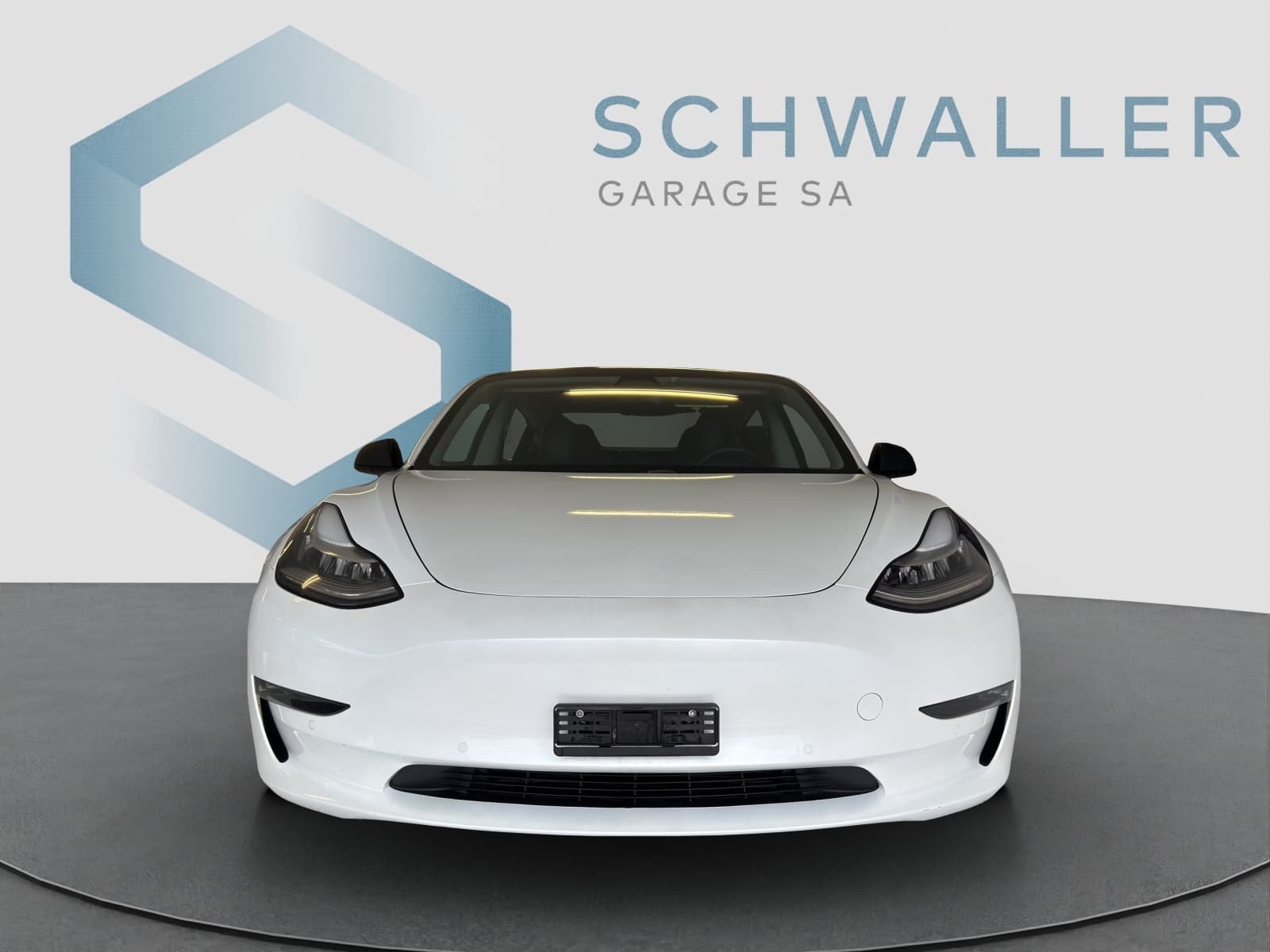 TESLA MODEL 3 MODEL 3 Performance D