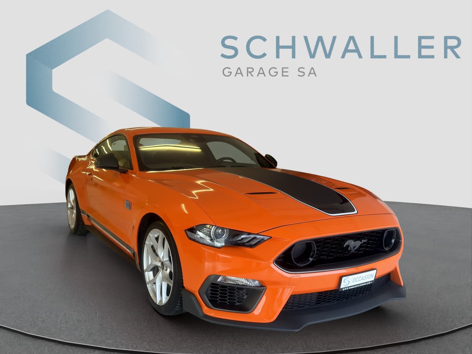 FORD MUSTANG Mustang Coupé 5.0 V8 Mach 1