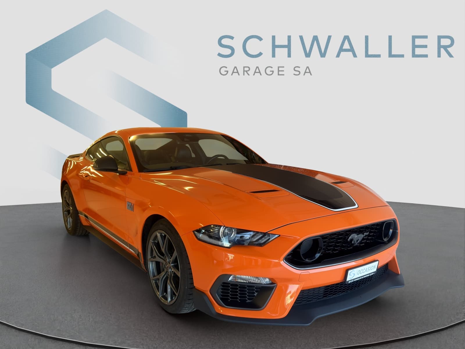 FORD MUSTANG Mustang Coupé 5.0 V8 Mach 1